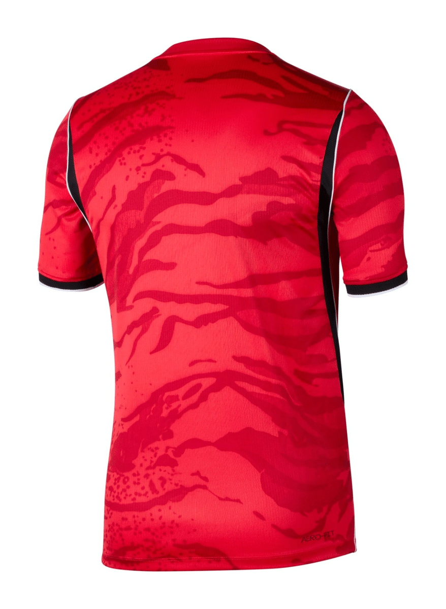 Corea del Sud MAGLIA HOME foto 2